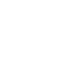 logo Pearl